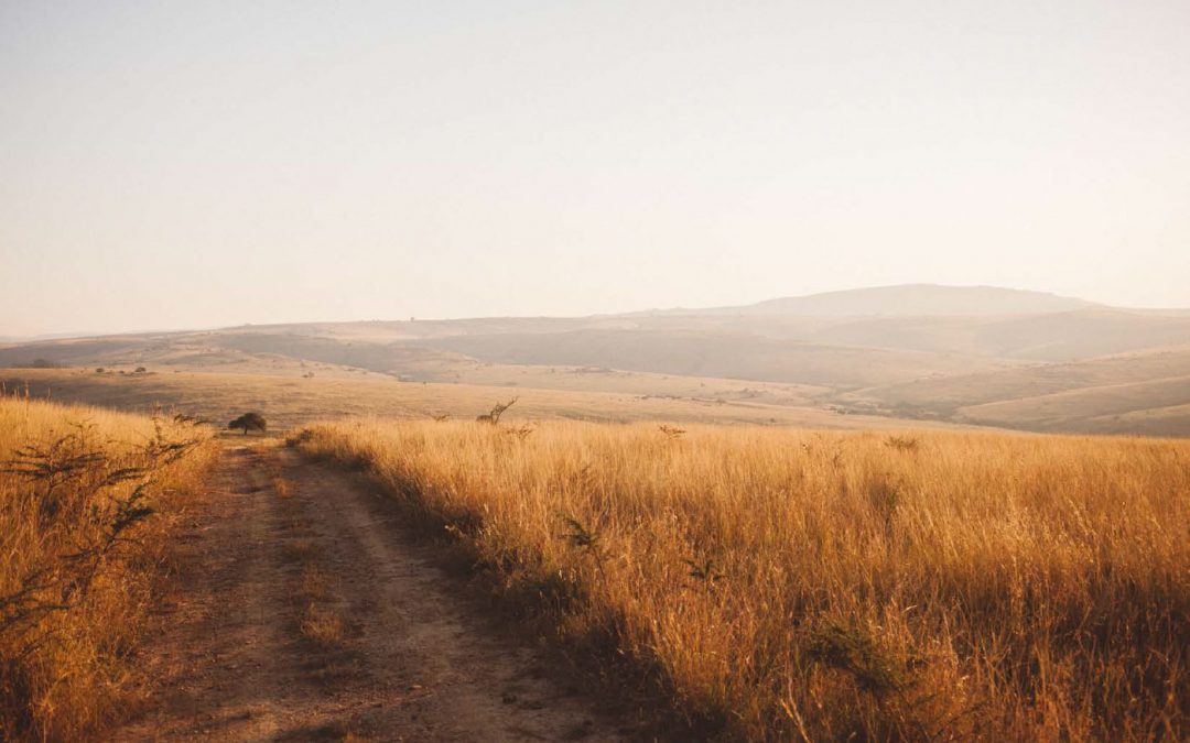 Buenaventura Macabeo Maldonado Vivas