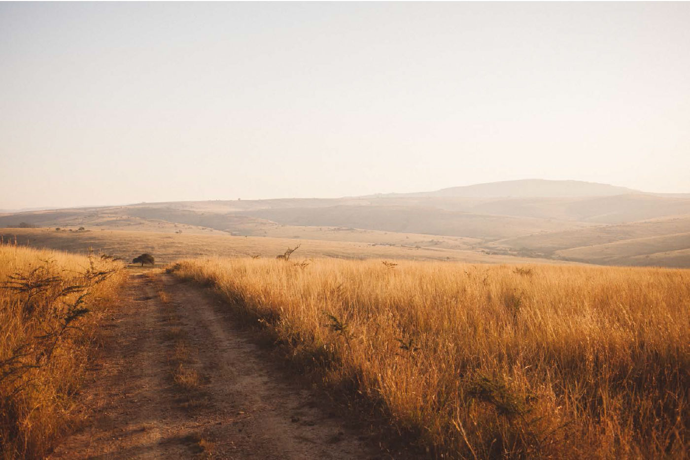 Buenaventura Macabeo Maldonado Vivas Familia Maldonado